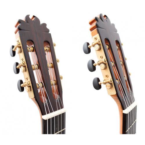 Conservatorio 640 cedar