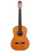 7Sm Cedar