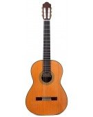 7Sr Cedar