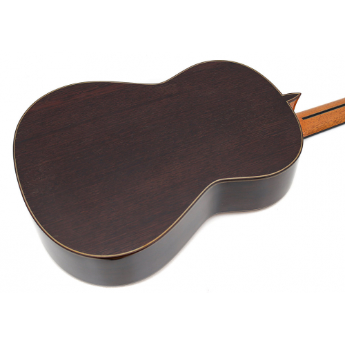 Model 40 spruce - 2025