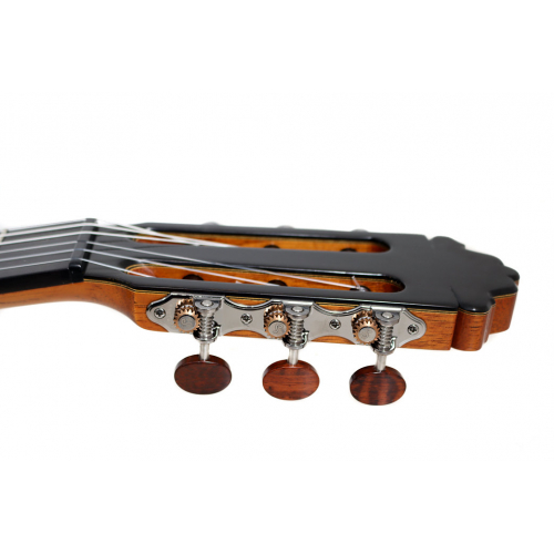 Model 40 spruce - 2025