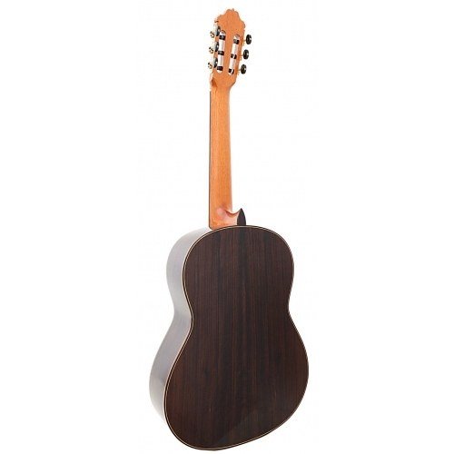 Model 65 Años