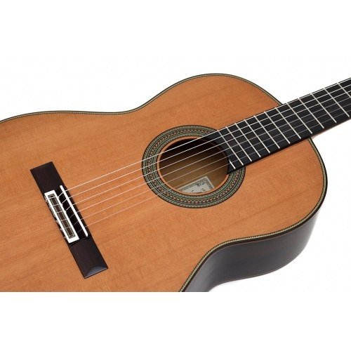 Model 65 Años