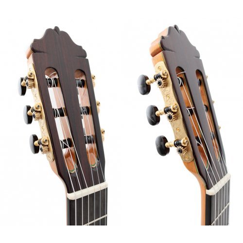 Model 65 Años