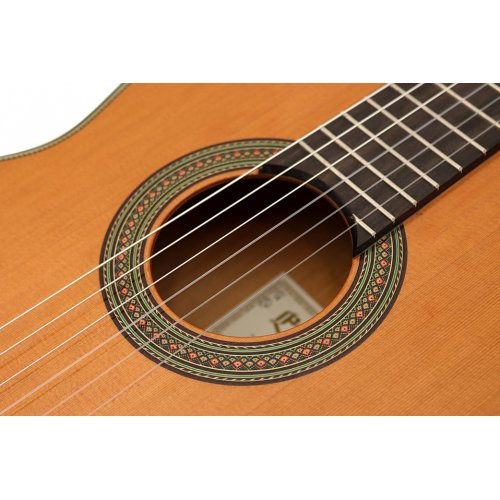 Model 65 Años