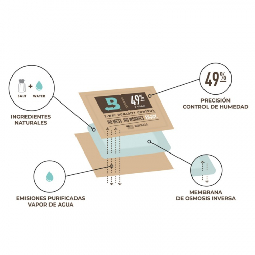 BOVEDA KIT DE INICIO GRANDE 49%