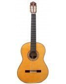 Flamenco Aniversario 2023