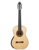 Model 20 Anniversary Spruce