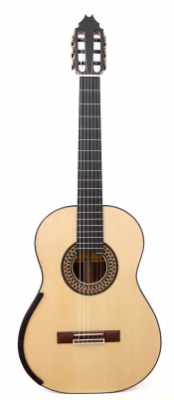 Fernando Mazza - 20 Anniversary Spruce 