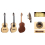 Fernando Mazza - 20 Anniversary Spruce 