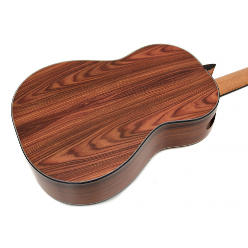 Model 20 Anniversary spruce