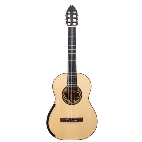 Model 20 Anniversary spruce