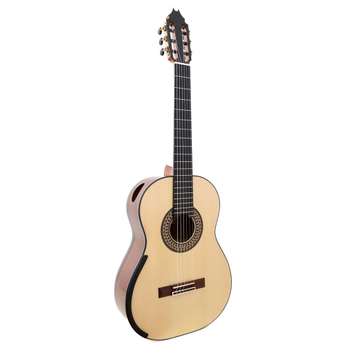Model 20 Anniversary spruce