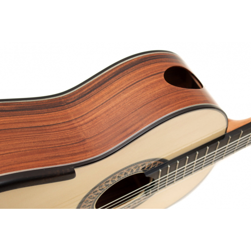 Model 20 Anniversary spruce
