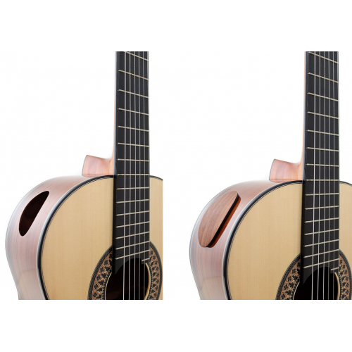 Model 20 Anniversary spruce