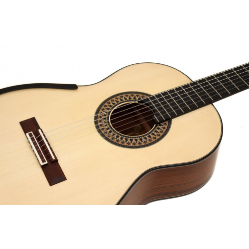 Model 20 Anniversary spruce