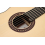 Camps Cl-20 Lattice Abeto