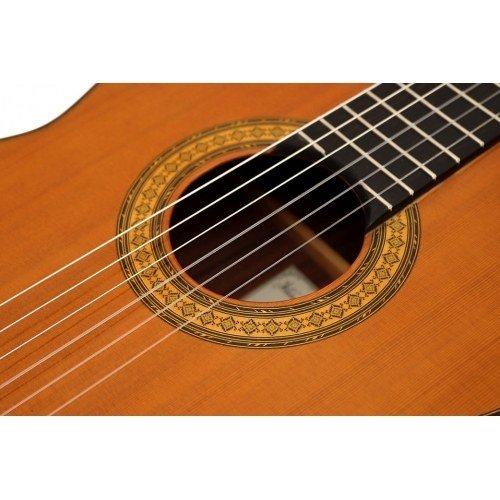 Concierto - D Aguado