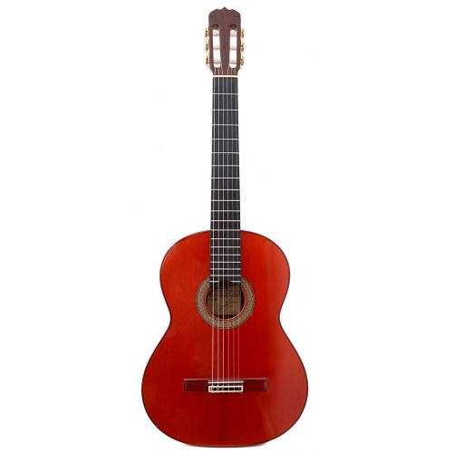 Ramirez 1a deals classical guitar