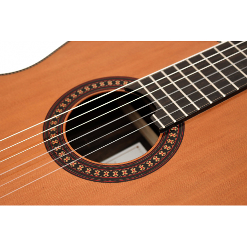 CL-20 Lattice cedar