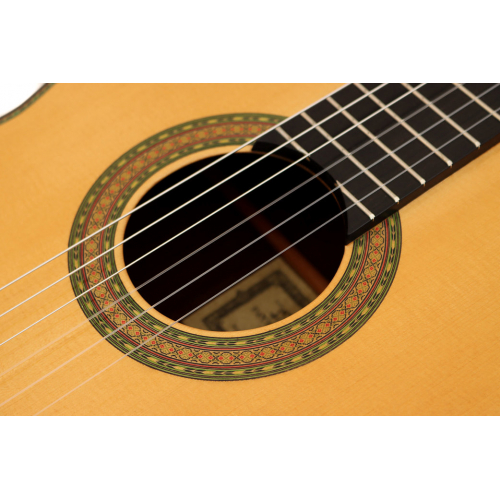IMPERIAL spruce 2020
