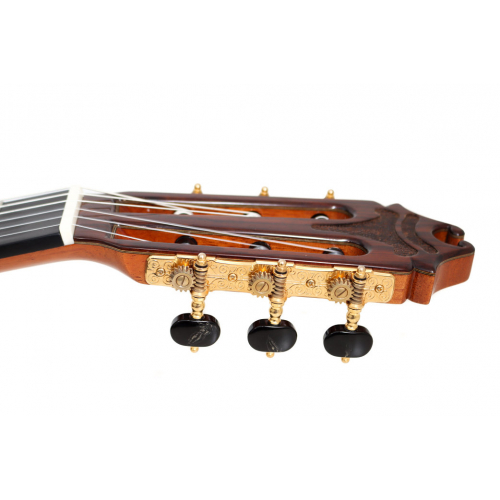 MAESTRO ESPECIAL - cedar