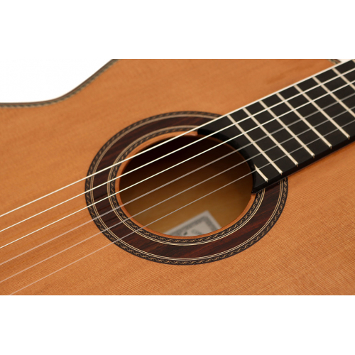 MAESTRO ESPECIAL - cedar