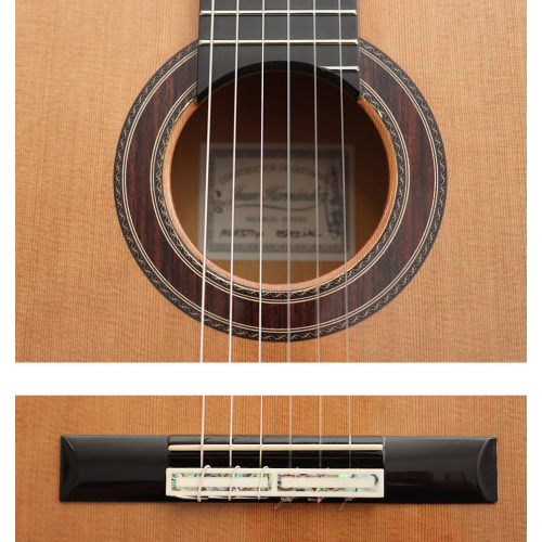 MAESTRO ESPECIAL - cedar