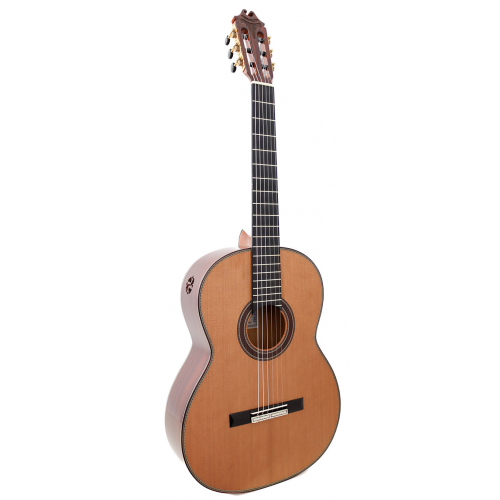 MAESTRO ESPECIAL - cedar