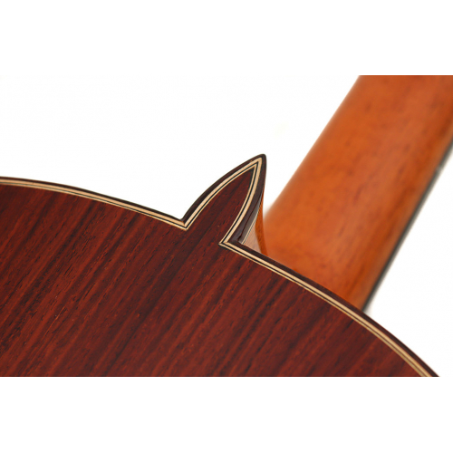 MAESTRO ESPECIAL - cedar