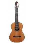 Bossanova 7 Strings Cedar