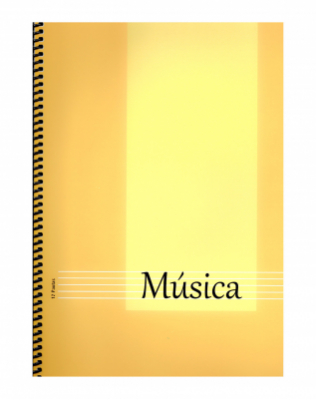 Big Vertical Music Notation Notebook