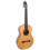 Camps Cl-20 Abeto