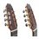 Juan Hernandez Bossanova - 7 Strings - Spruce