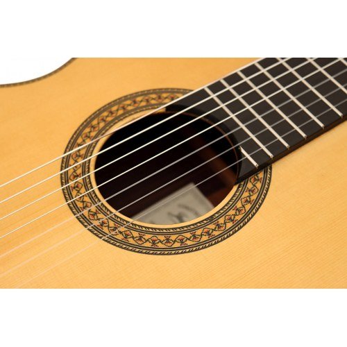 Bossanova 7 strings spruce