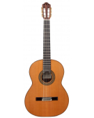 Modelo 12 - 640 Cedro