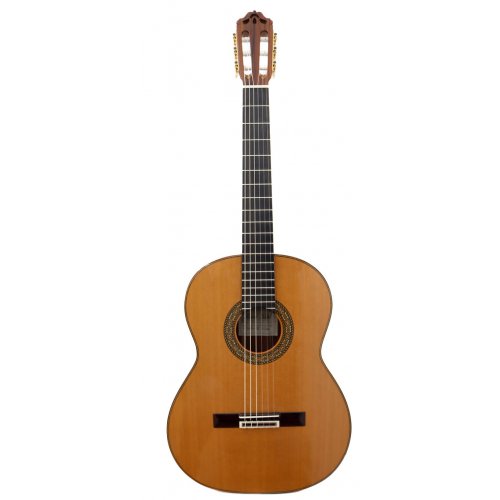 Modelo 12 - 640 cedro