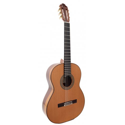Modelo 12 - 640 cedro