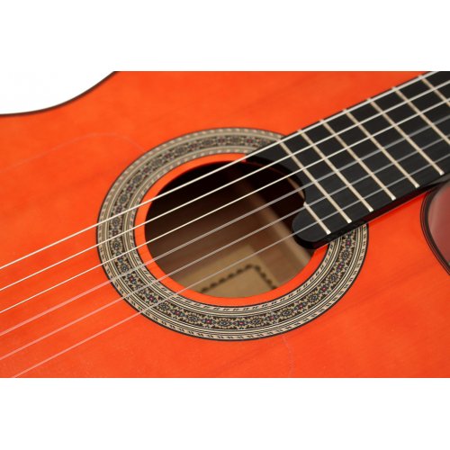 Alegria Cutaway
