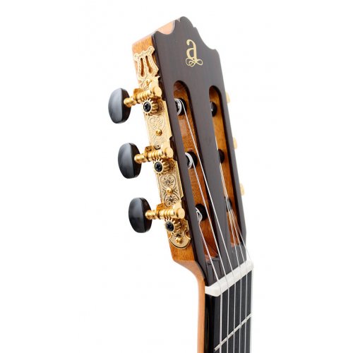 Alegria Cutaway