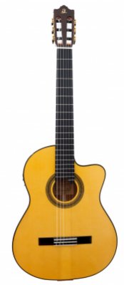Admira Buleria Cutaway