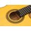 Admira Buleria Cutaway