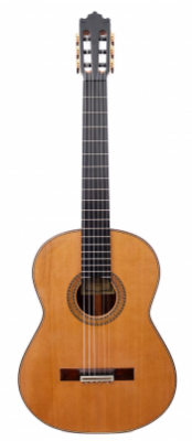 Nueva Paulino Bernabe Concierto - Cedro 2025