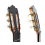 Paulino Bernabe Coleccion N5 - Flamed Maple - 2025