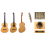 Paulino Bernabe Coleccion N5 - Flamed Maple - 2025