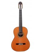 Profesor 640 Cedar