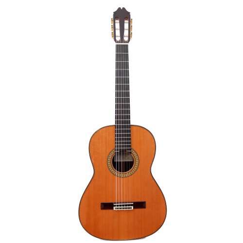 Profesor 640 cedro