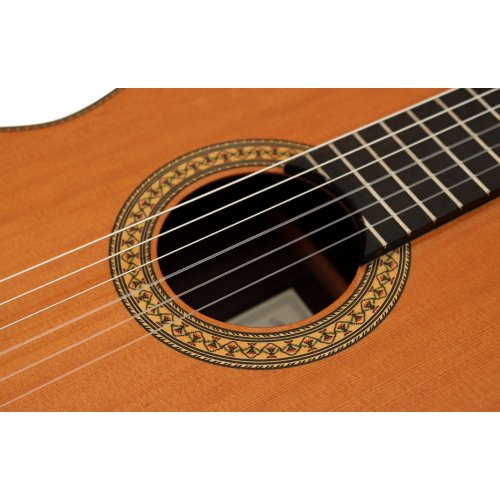 Profesor 640 cedro