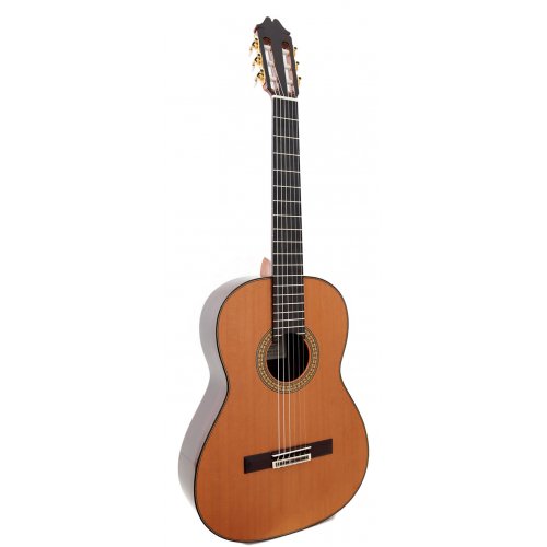 Profesor 640 cedro