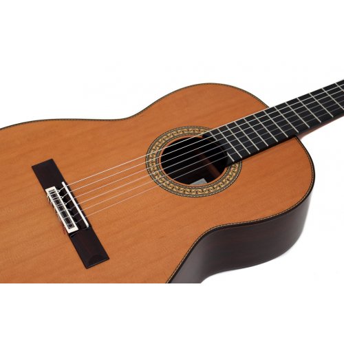 Profesor 640 cedro